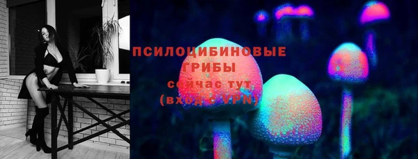 spice Вяземский