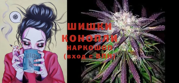 spice Вяземский