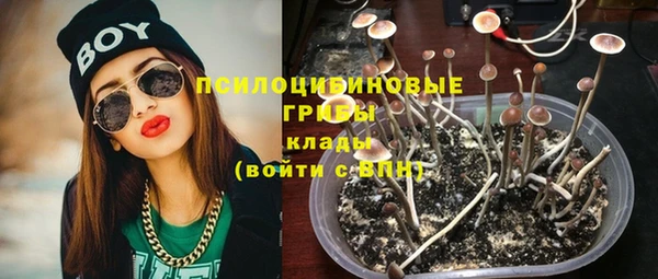 spice Вяземский