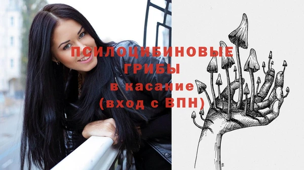 spice Вяземский